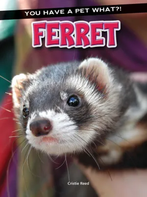 2016 - Ferret (eBook)