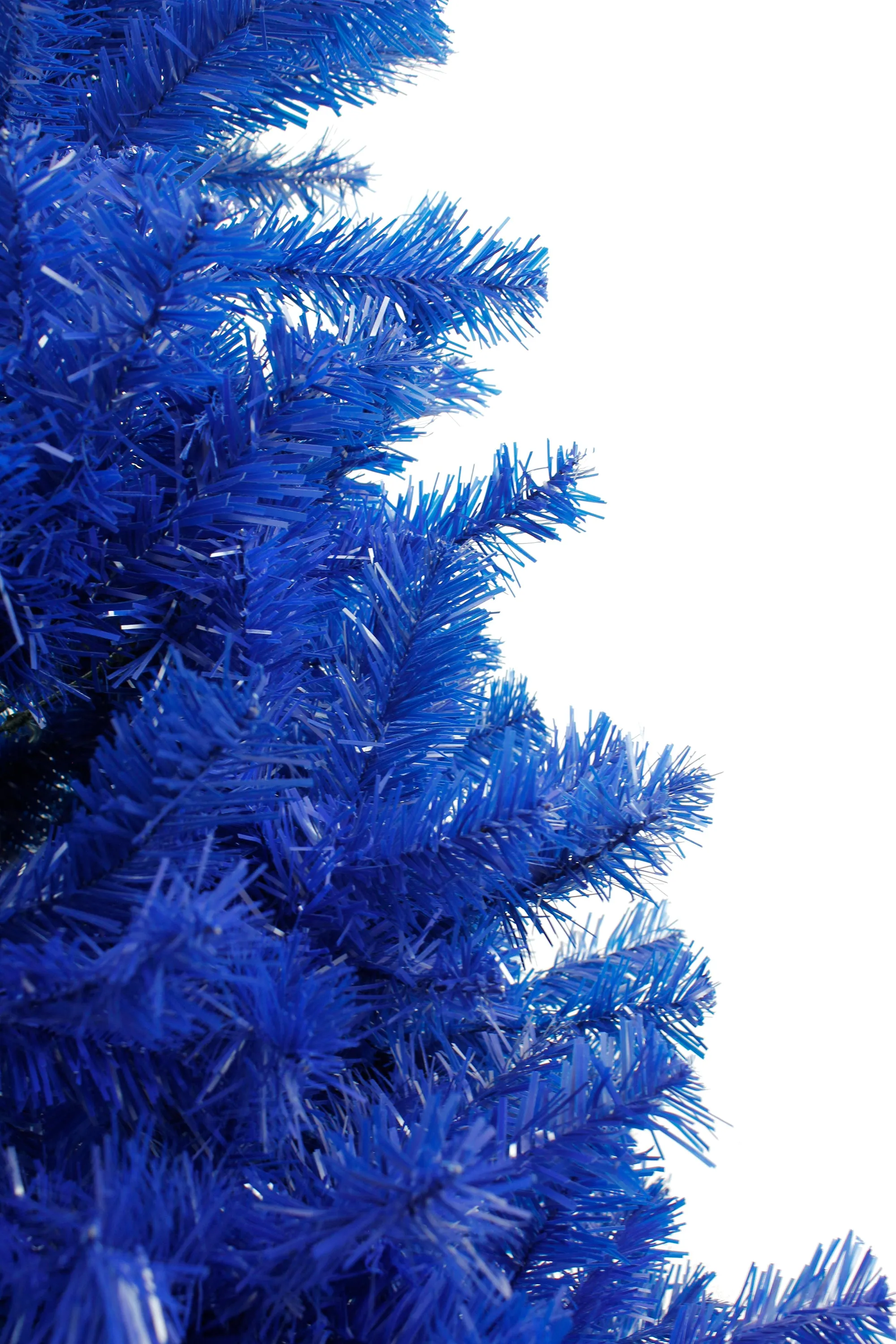 Blue Canadian Pine Christmas Tree