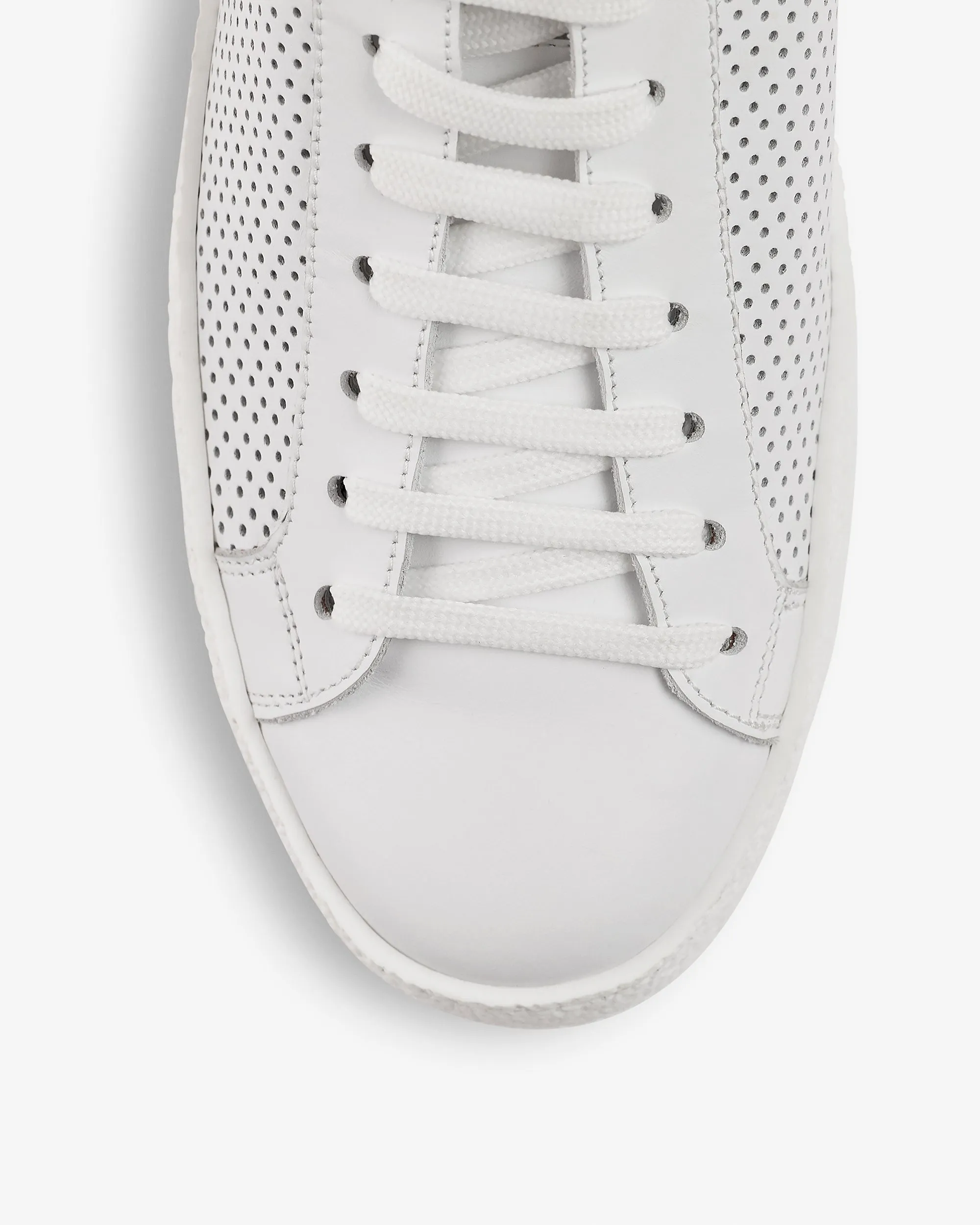 Daniele White perforated Low Leather Sneaker