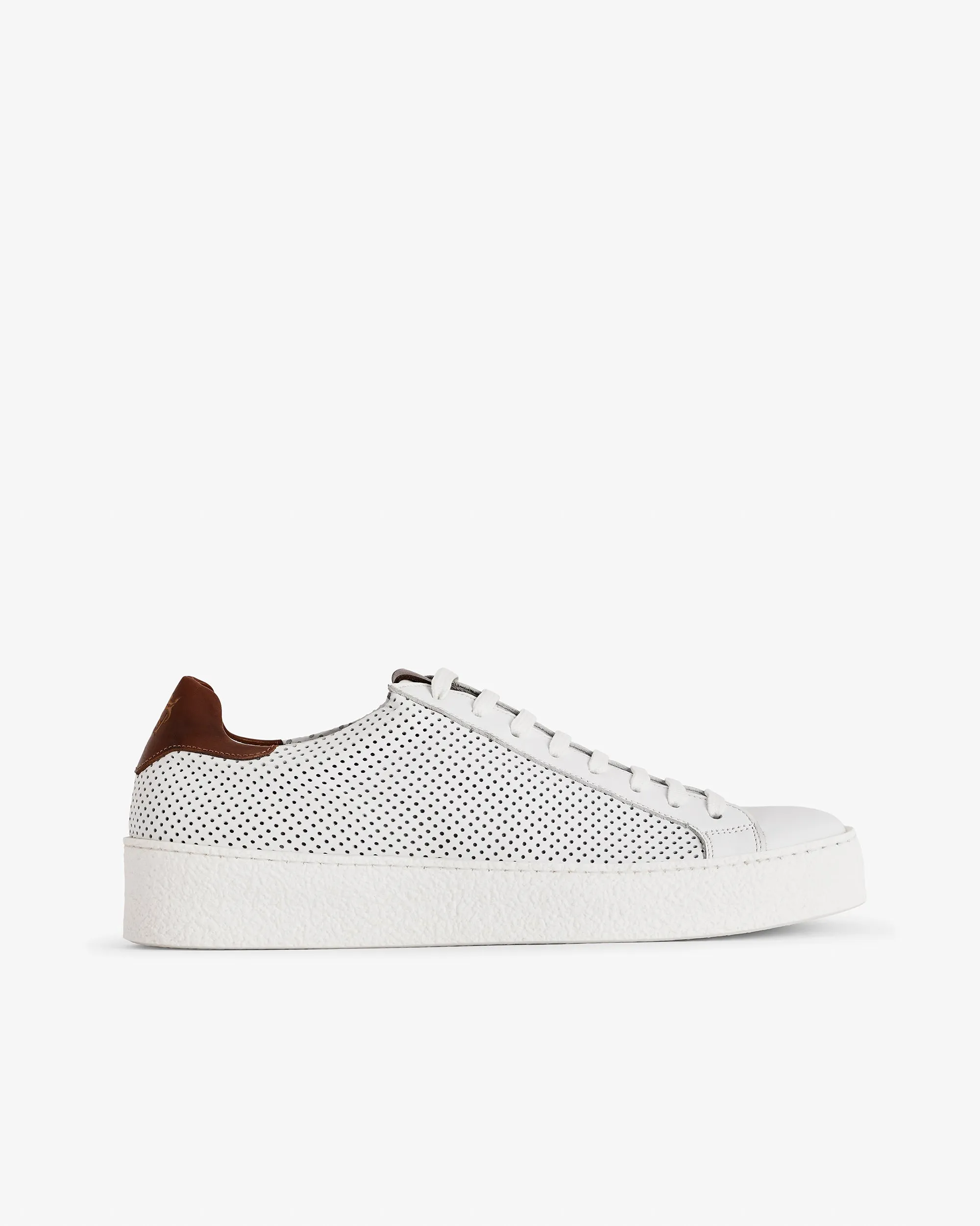 Daniele White perforated Low Leather Sneaker