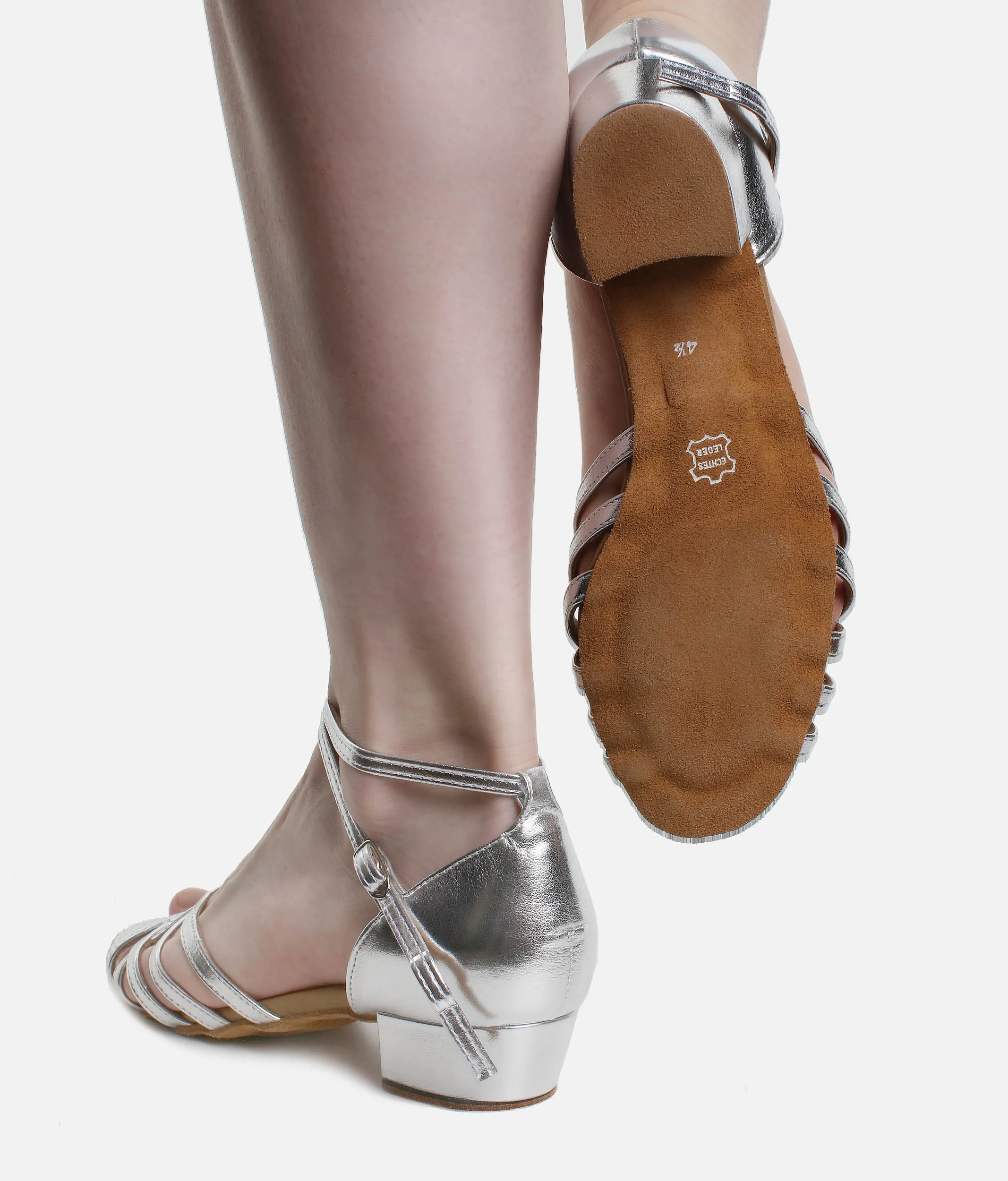 Ladies Ballroom and Latin Dance Shoes, Silver - 013