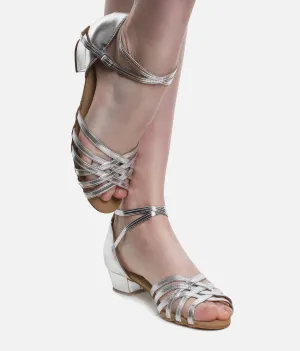 Ladies Ballroom and Latin Dance Shoes, Silver - 013