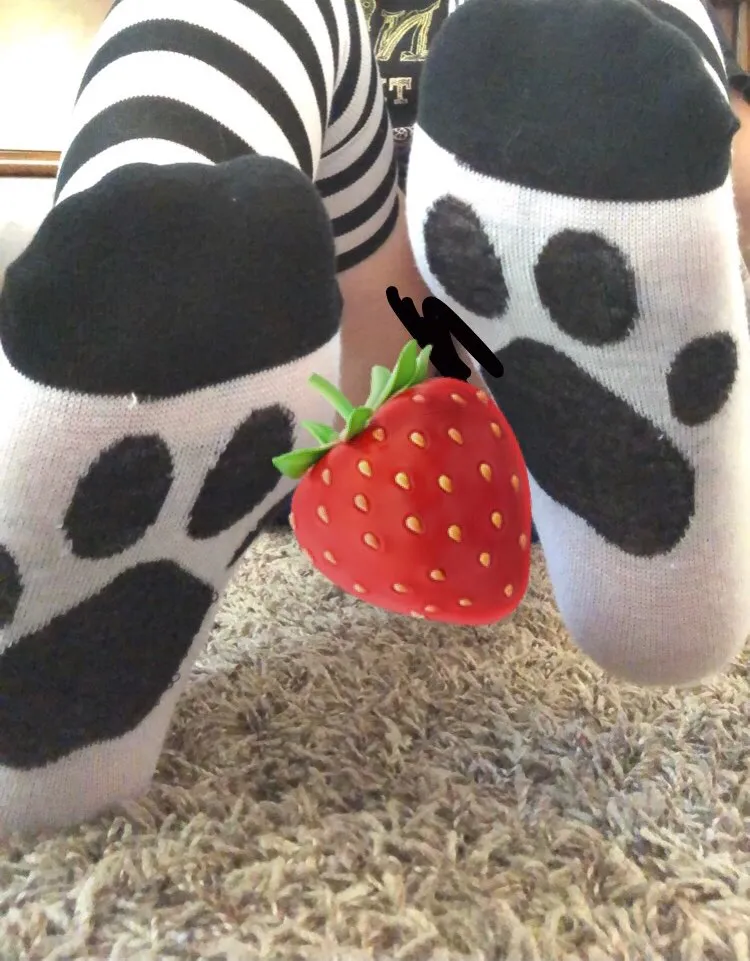 Paw Print Striped Thigh Highs